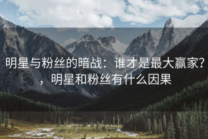 明星与粉丝的暗战：谁才是最大赢家？，明星和粉丝有什么因果